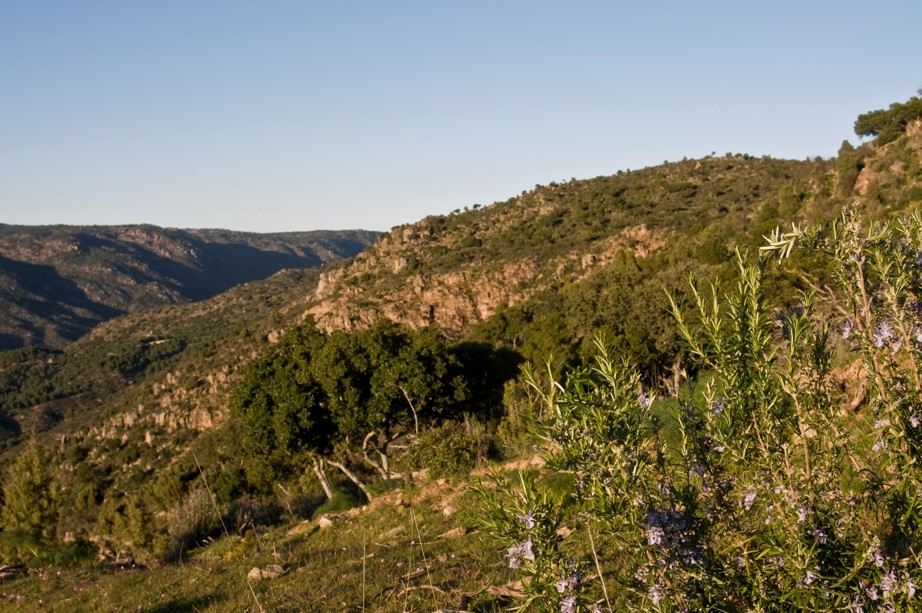 Casa Rural Gato Clavo, Jaén,Parque Natural de Sierra Morena