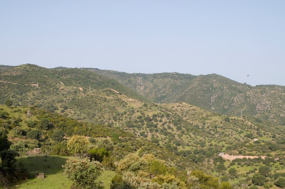 Casa Rural Gato Clavo, Jaén,Parque Natural de Sierra Morena